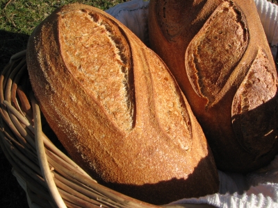 Morph Bread