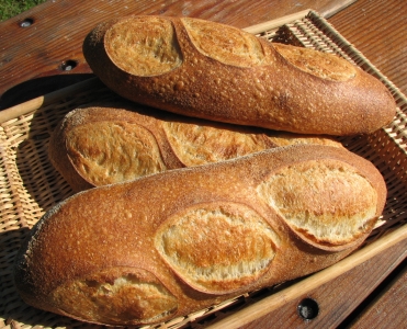 Austrian loaves