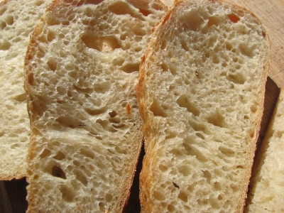 Crumb of Austrian loaf
