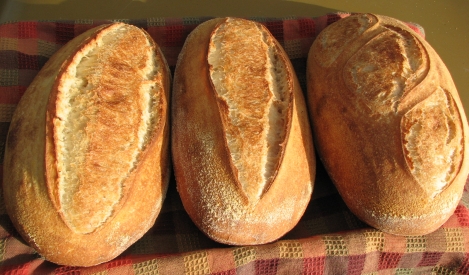 Three two lb loaves of Austrian Farm Sourdough Bread