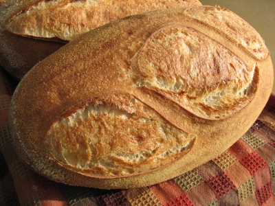 Austrian Sourdough