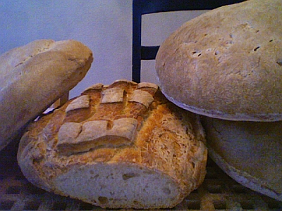 Erik\'s Sourdough Breads