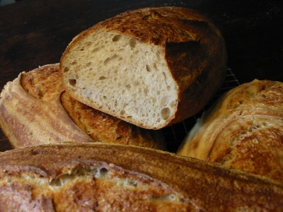 Malted Berry bread