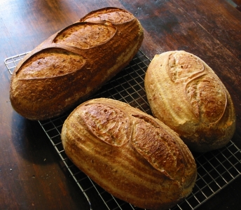 more bread