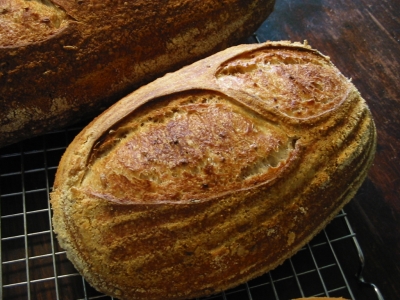 Malted sourdough Rye
