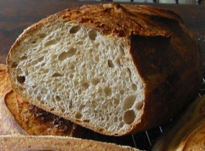 closeup