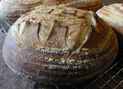 first loaf