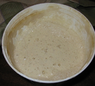 San Francisco Sourdough Starter