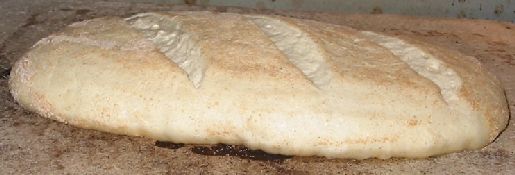 flat dough