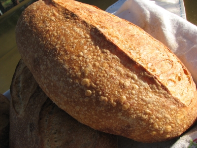 Austrian Motherdough Bread