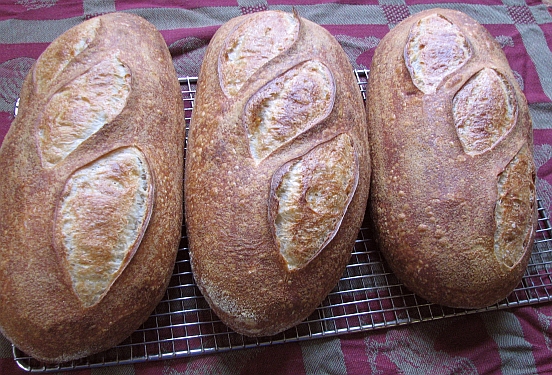Austrian three All three Austrian loaves