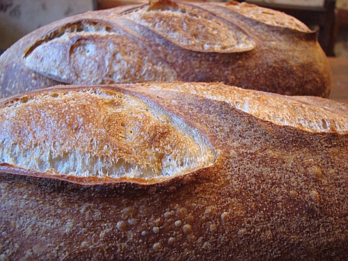 Austrian Sourdough Austrian Sourdough