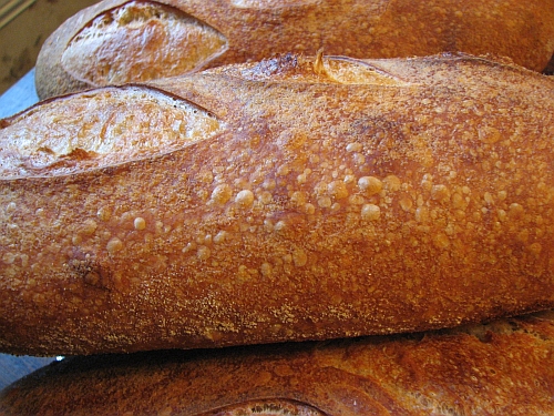 yummy Crispy crust