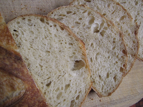 Crumb Crumb