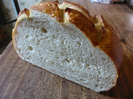 Bakery Bread Crumb
