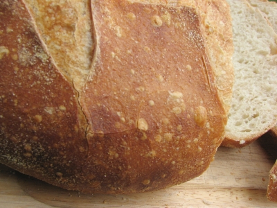 closeup of crust
