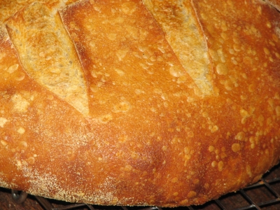 crust
