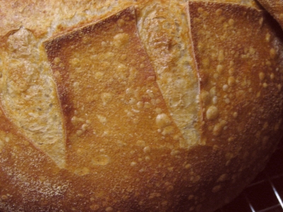 closeup of crust