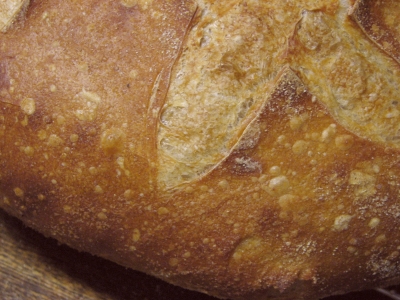 crust