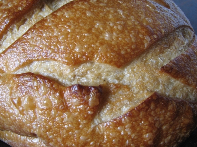 Boudin Sourdough