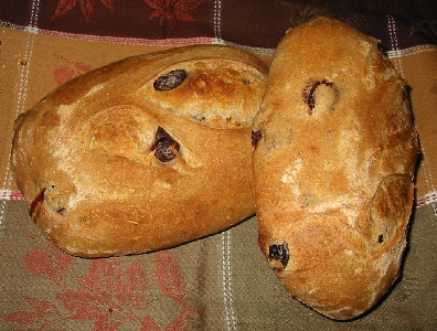 Two loaves of Rosemary Calamato bread