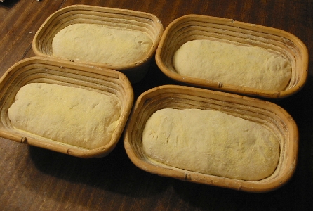 four loaves