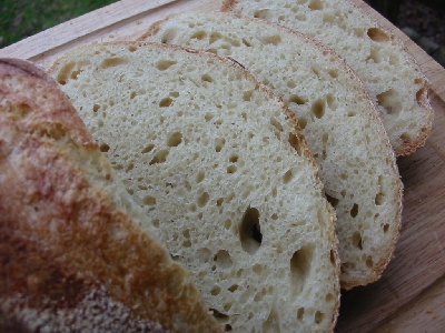 first loaf crumb