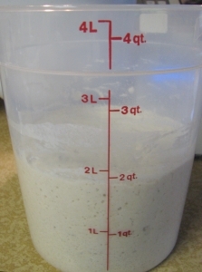 doughnut preferment
