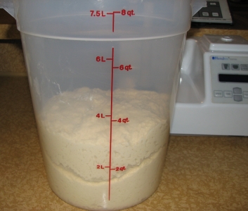 starting bulk ferment