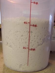 bulk ferment almost done