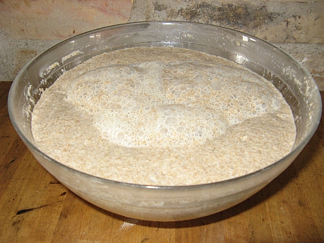 Swedish sourdough starter