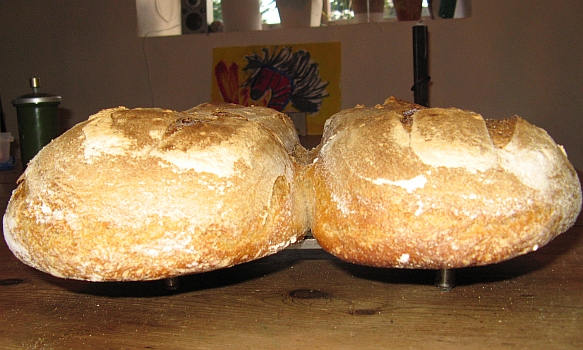 More Soudough