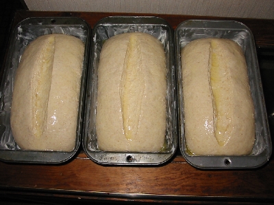 dough in pans