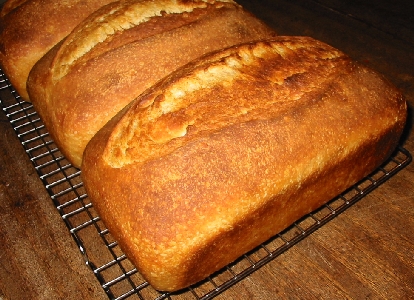 baked loaves