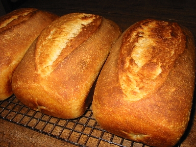 baked loaves
