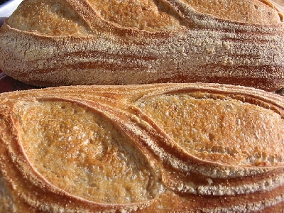 closeup
