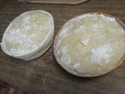 dough next morning