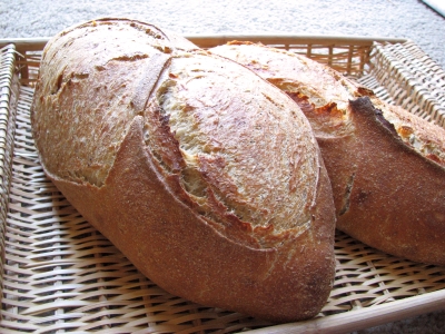 Honey Roasted Malt Sourdough