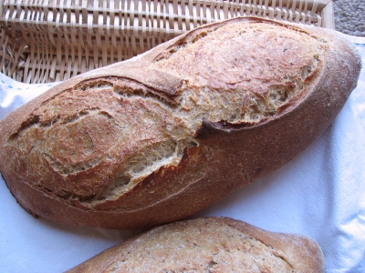 Honey Roasted Malt Sourdough