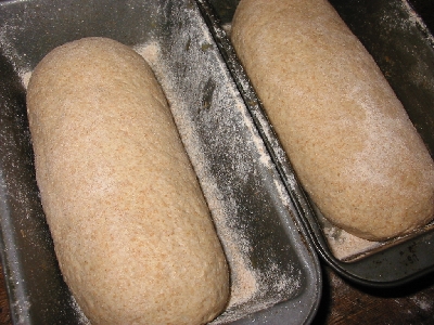 dough in loaf pans