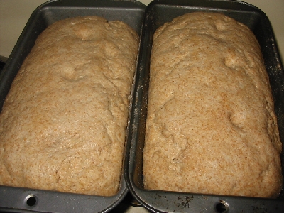 proofed Desem dough