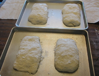 Ciabatta loaves