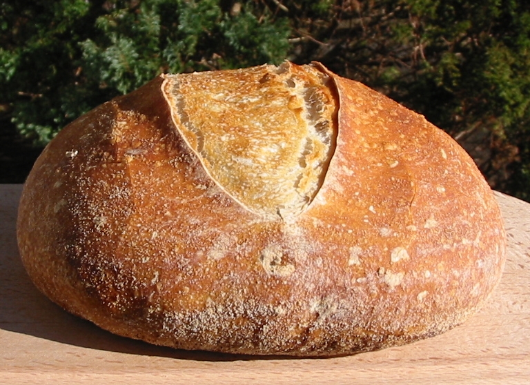 Side view