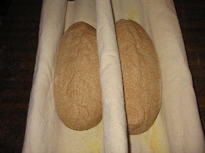 dough in couche
