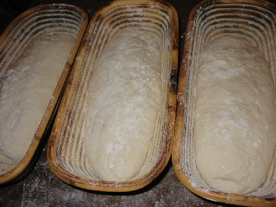 shaped loaves