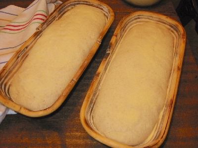shaped loaves