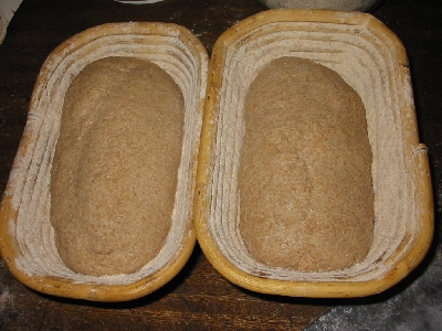 bannetons with Desem dough