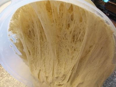 gluten development
