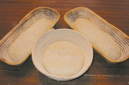 bannetons with dough