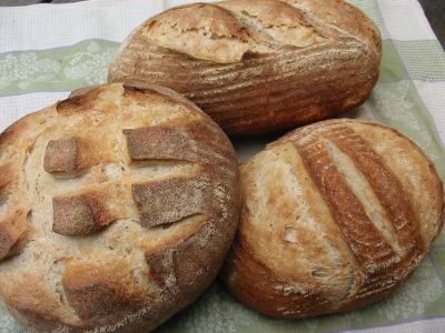 Basic with Rye